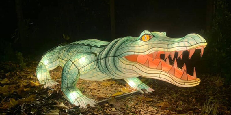 Five-sisters-zoo-illuminations-crocodile