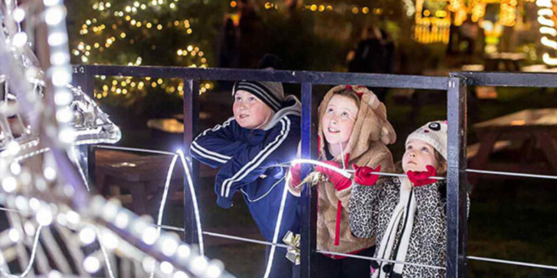 Five-sisters-zoo-illuminations-lights