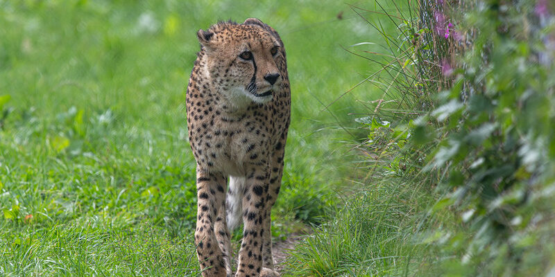 54742090753_1177577918_c